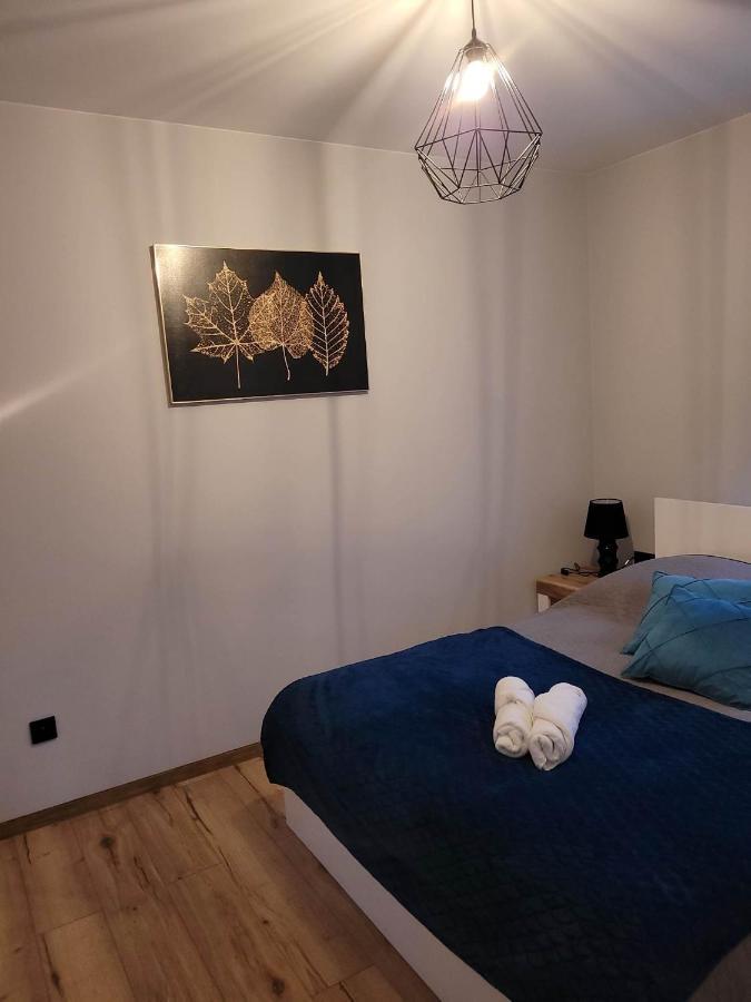 Szary Domek Janowice Wielkie Bagian luar foto